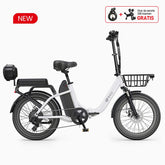 DYU C9 20Inch E-bike met groot bereik